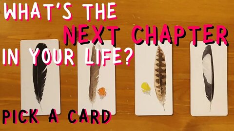 What's the NEXT CHAPTER of your life? || PICK A CARD Tarot reading (Timeless)
