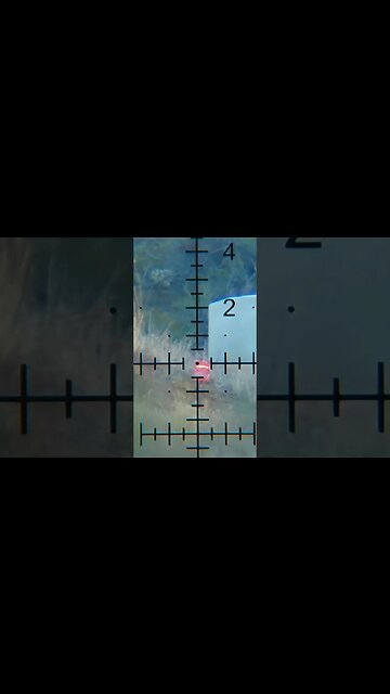 Airgun Slugs #airgunning #pcpairgun #airgun