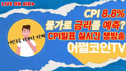 CPI 9.1% 물가지수와 금리가 비트코인에 작용하는 공식과 패턴 | 부자가 되는 가장 안전한 방법 | 포인트 레슨 Bull Bear 트랩 조심! |비트코인 실시간 생방송 쩔코TV
