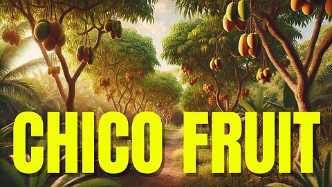 Exploring the Hidden Treasures of Chico's Fruit Garden | Full Garden Tour 🌿🍊