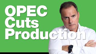 Markets Rally Despite OPEC Production Cuts