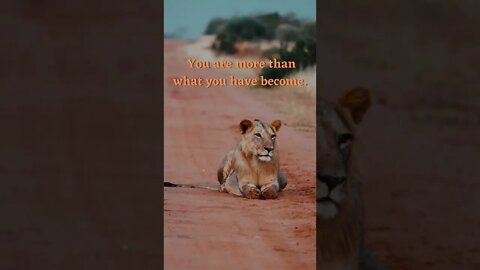 #motivation #fyp #nevergiveup #beyourself #trending #trend #explore #short