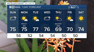 FORECAST: Sunday Morning