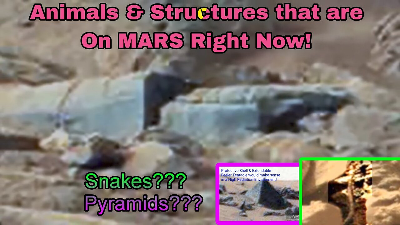 Creatures of Mars! Martian Snake, Crab, Pyramid, & Cave Paintings!
