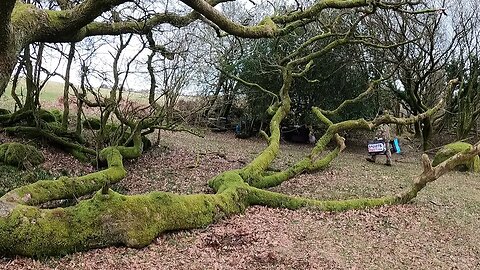 All cleared down leaving camp. Dartmoor 26th March 2023