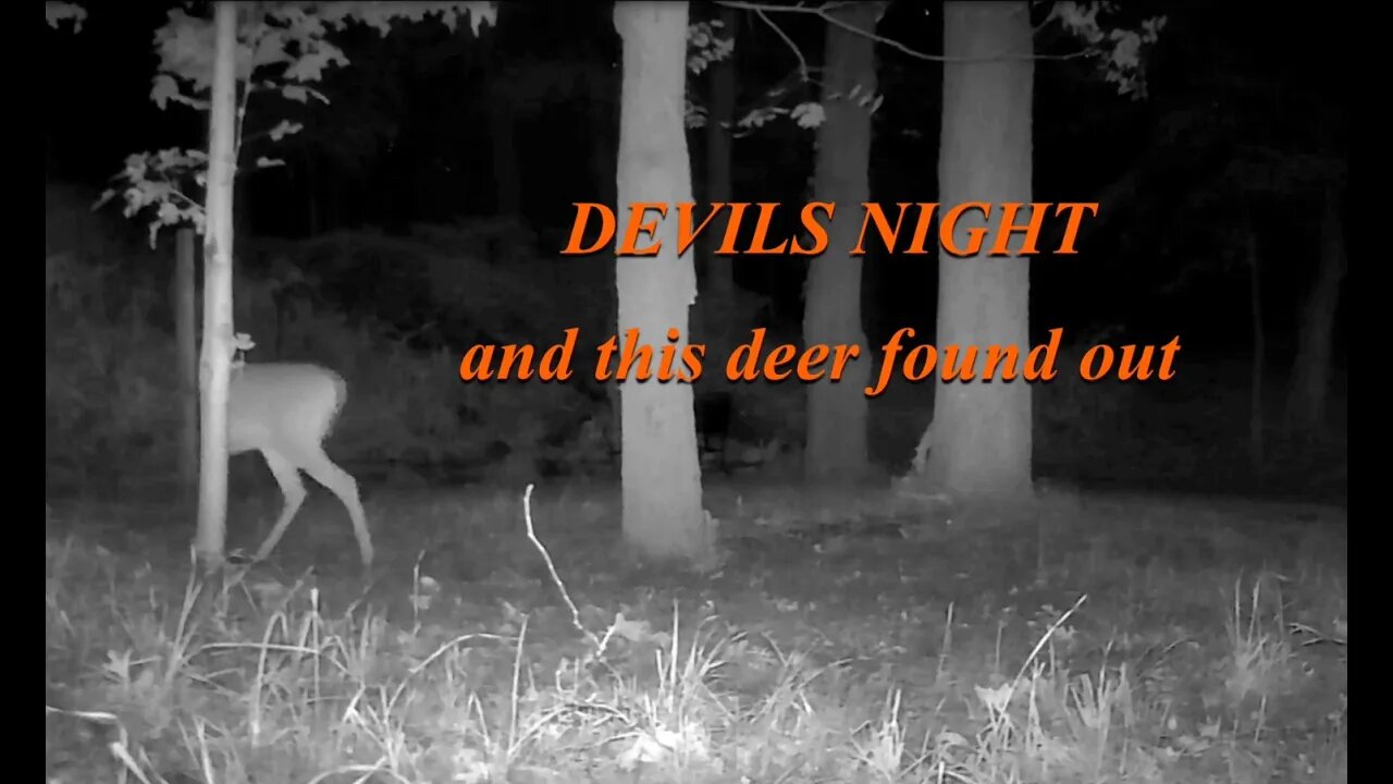 It was devils night last night and this deer found out the hard way