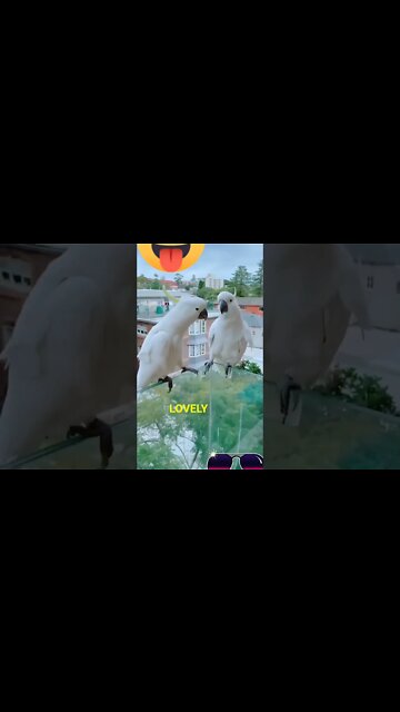 Most Amazing and trending video||relaxing your mind||trendig videos|| #shorts #trending #viral #live