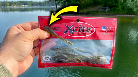 Is This My NEW FAVORITE Smallmouth Bait?!