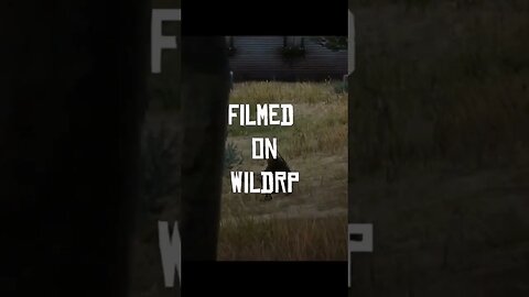 WildRp Roleplay Red Dead Redemption 2 #gaming #funny #roleplay #arthurmorgan
