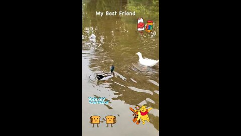 My Best Friend