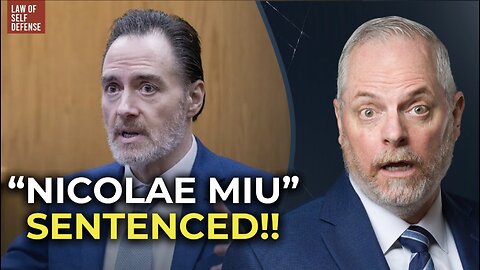 REAL LAWYER! Nicolae Miu "Apple River Stabbing" Sentencing!
