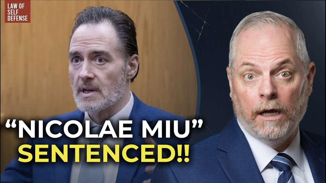 REAL LAWYER! Nicolae Miu "Apple River Stabbing" Sentencing!