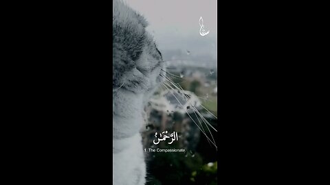 Surah Rahman | Full With Arabic Text and Translation in Urdu (HD) | 55-سورۃالرحمن