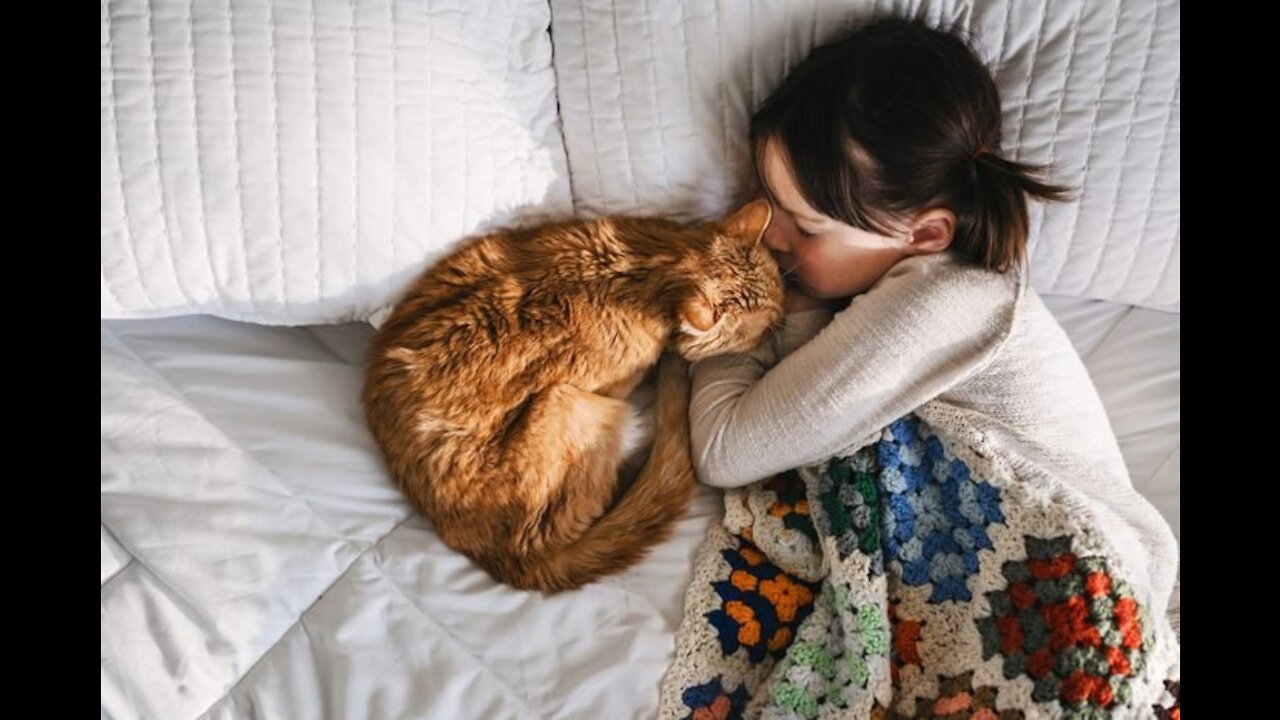 Get Your Cat to Sleep With You