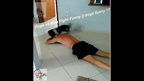 Dogs vs Man Fight Funny || dogs funny !!!