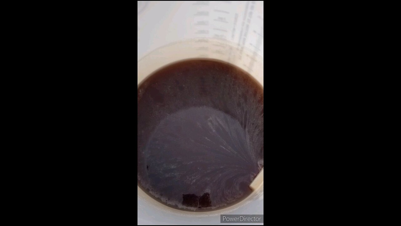 The White Foam on Raw Honey