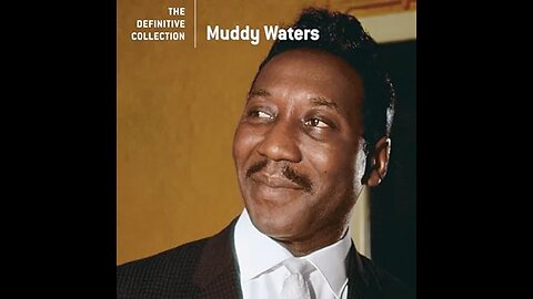 Muddy Waters - Baby Please Don't Go (Live)
