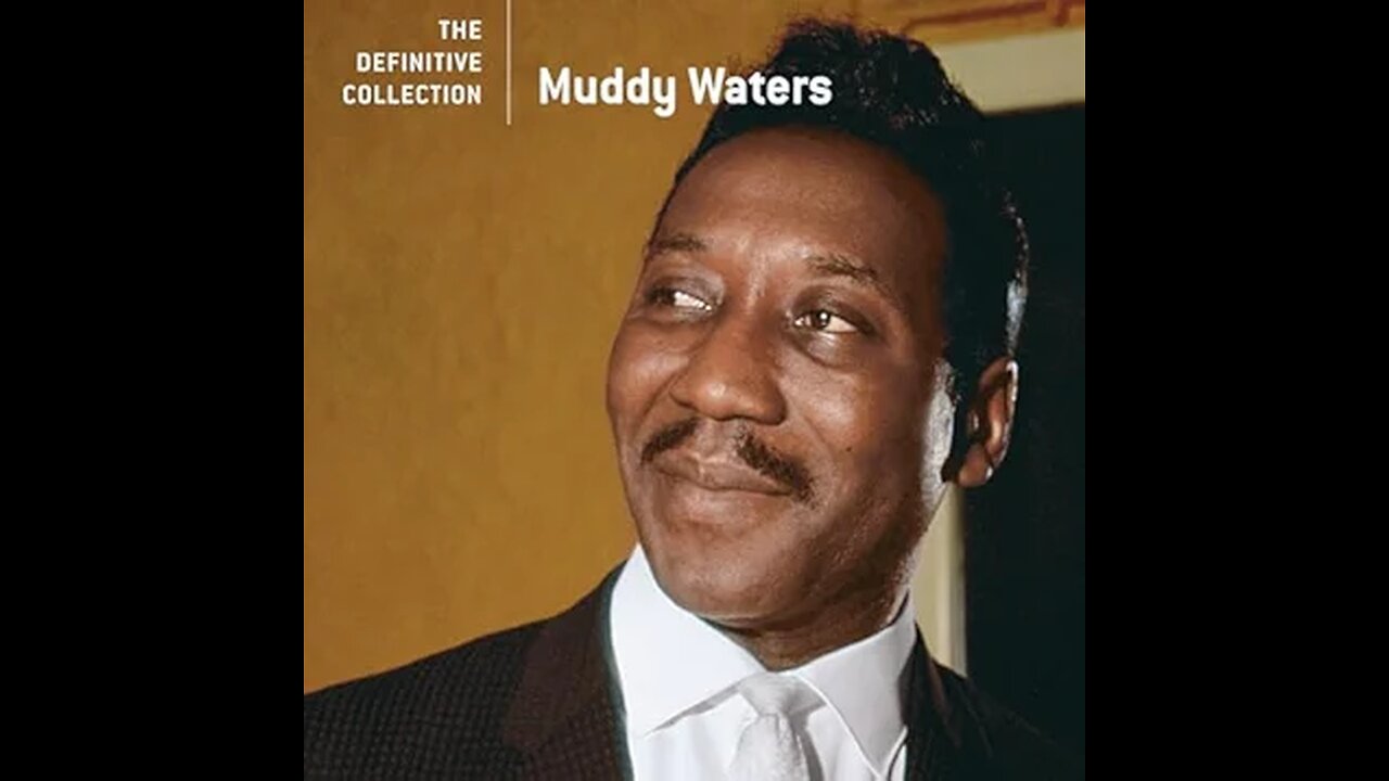 Muddy Waters - Baby Please Don't Go (Live)