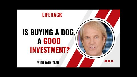 John Tesh - Is Buying A Dog, A Good Investment?