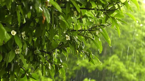 what is relaxing music for sleep rain music therapy? soothing relaxation