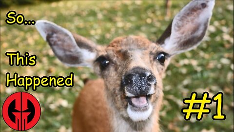 Oh Deer (So... This Happened #1)