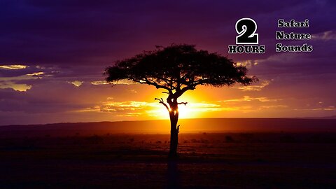 SAFARI NATURE SOUNDS FOR SLEEP - 2 HOURS