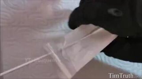 TIM TRUTH EXPOSE OF CONTENTS INFAKE P c RTEST SWABB5