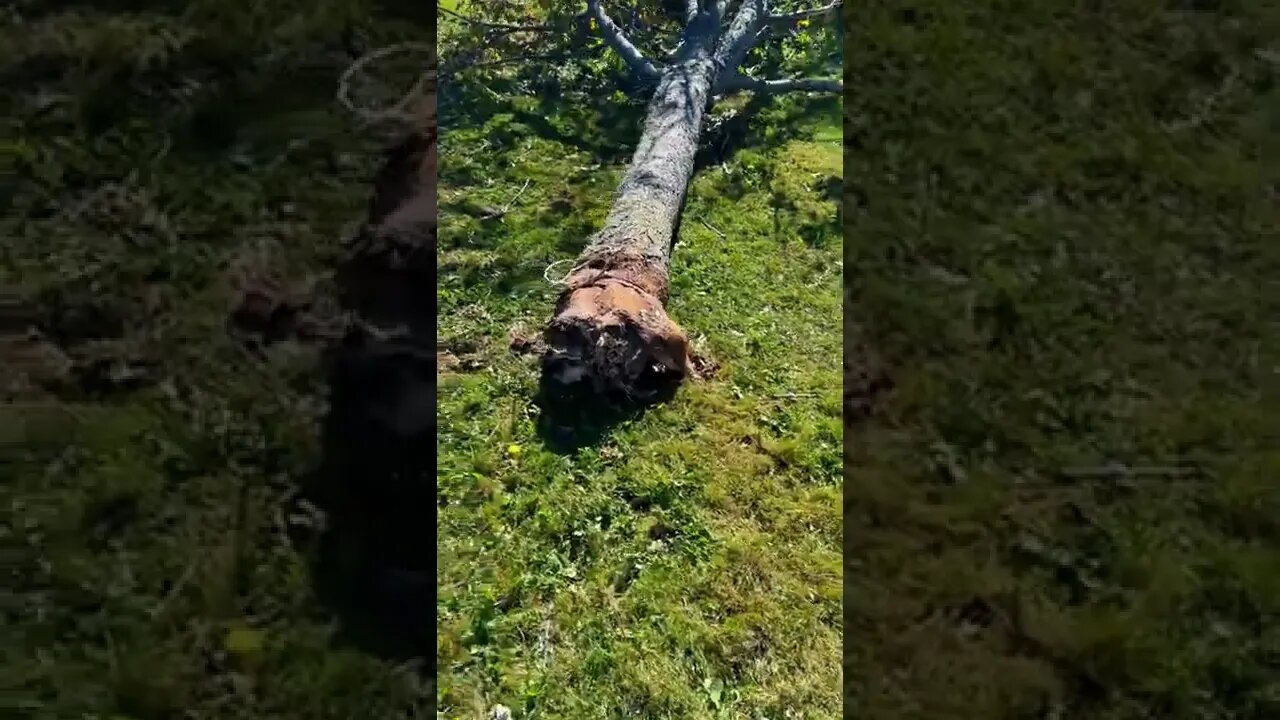 The Day After Hurricane Fiona 2022