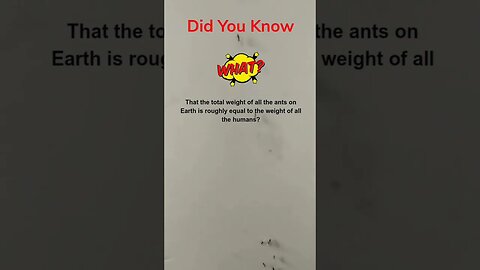 Ants are.... #didyouknow #facts #weirdfacts #youtubeshorts #wednesday