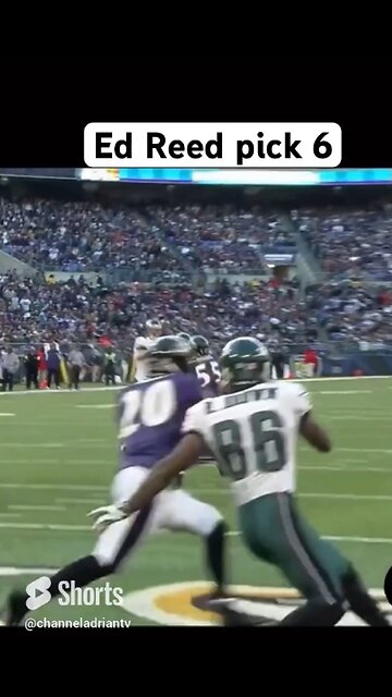Ed Reed pick 6 #shorts #footballshorts #nfl #football #baltimoreravens #sports #sportsnews #cfl