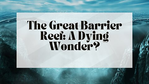The Great Barrier Reef: A Dying Wonder?