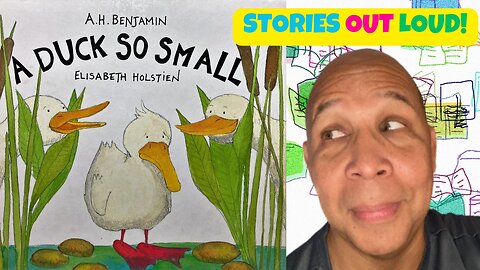 A Duck So Small By A. H. Benjamin (book)