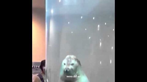 U raise me up