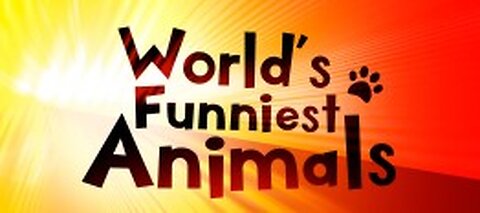 When your dog is like your sibling - Funny Dog and Human Video 2024