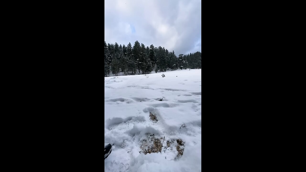 coffee making in ice
