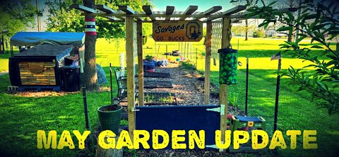 May Garden Update