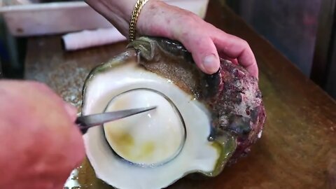 ALIEN SEA SNAIL Japanese Street Food-4