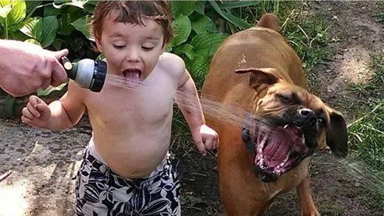 Try Not To Laugh To These Pets Compilation | Funny and Cute pets