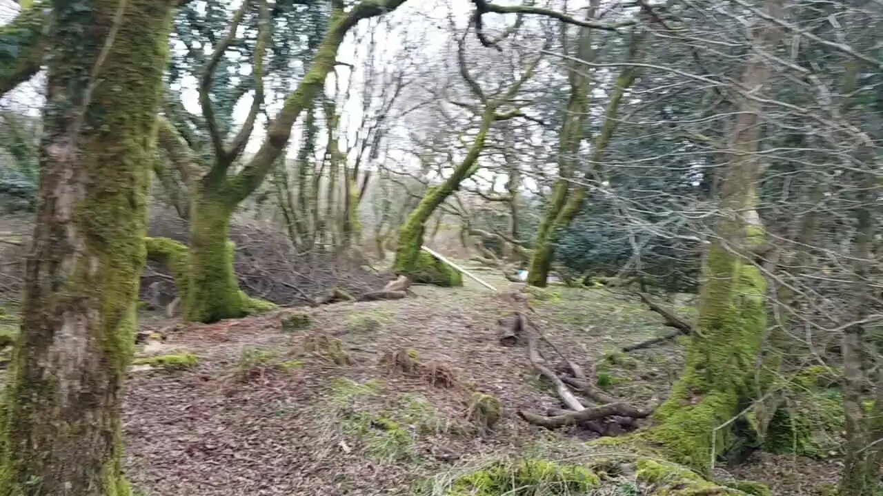 Moving the camera to a different location . Dartmoor 26th March 2023