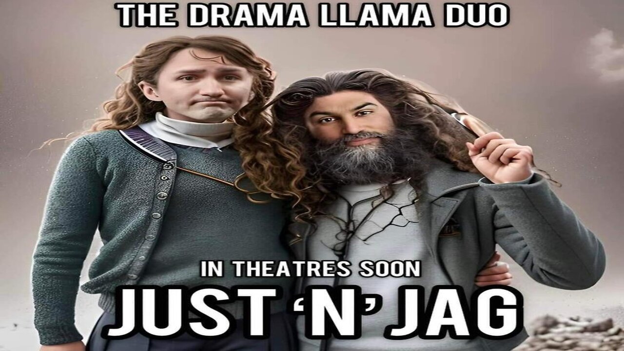 Introducing the Drama Llama Ding Dongs