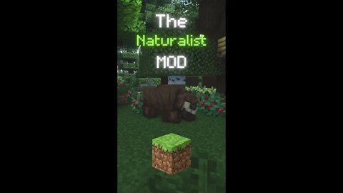 The mod Naturalist adds many mobs into your Minecraft worlds, making them feel much more alive! 🌳