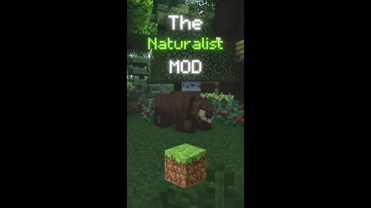 The mod Naturalist adds many mobs into your Minecraft worlds, making them feel much more alive! 🌳