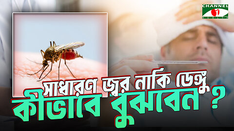 কীভাবে বুঝবেন? সাধারণ জ্বর নাকি ডেঙ্গু! | How To Understand Symptoms | Bangla Health Tips
