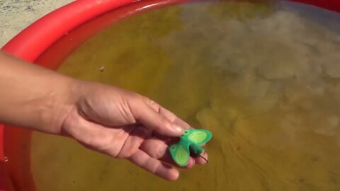 EXPERIMENT UNDERWATER! Our swimming pool explode!!!-6