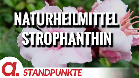 Naturheilmittel Strophanthin packt Herzinfarkt beherzt an seiner Wurzel