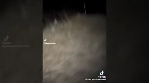 The Second Encounter