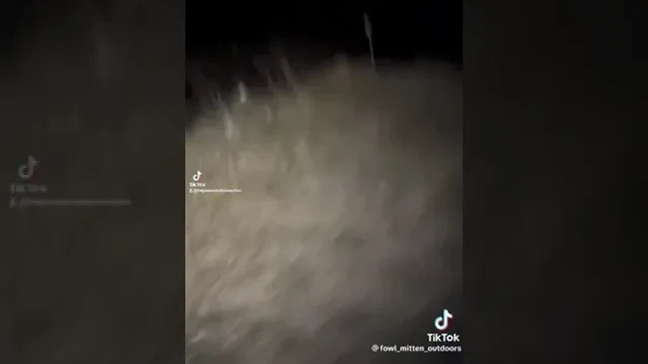 The Second Encounter