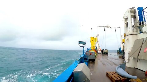 Catching dolphins and emptying nets.