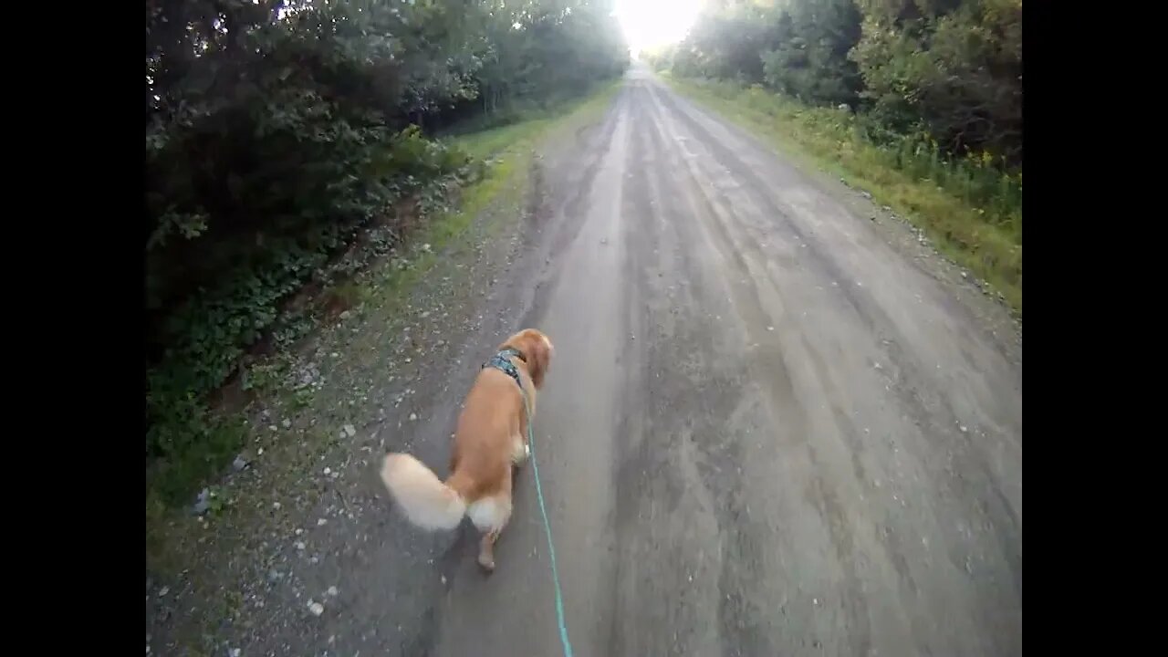 August 22nd, 45º Flynn takes me South, we see a partridge at 8:12 but camera doesn't record it.