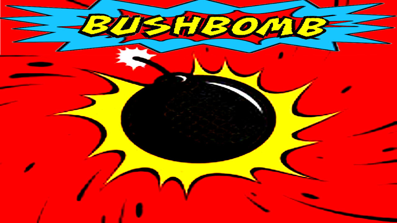 Bushbomb - "Deep August" - Music Video [Audio]